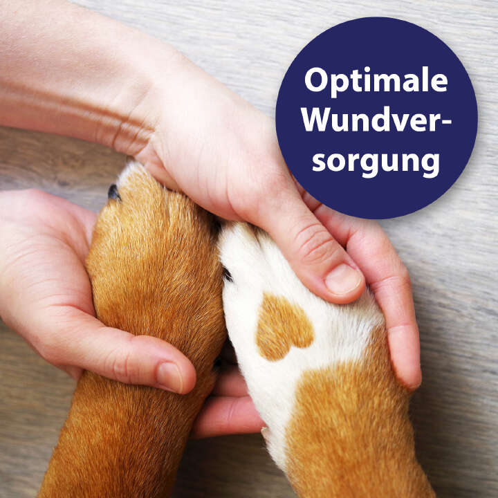 Canosept Wundspray für Hunde 75 ml